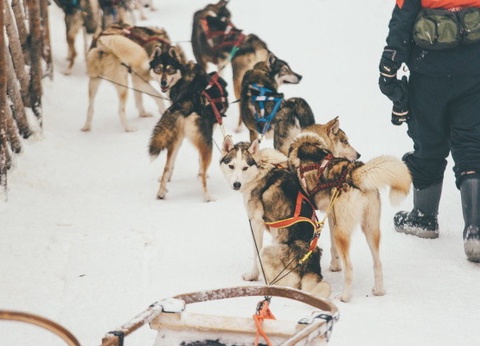 Club Jumbo Santa's Hotel Tunturi Laponie (demi-pension, activités incluses) - 6