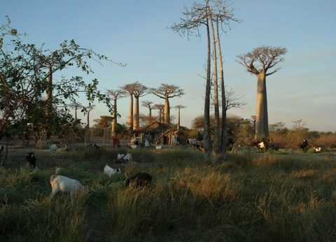 Circuit L'île rouge au fil de l'eau - 4