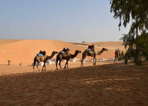 Circuit Immersion au pays de la Teranga - 10