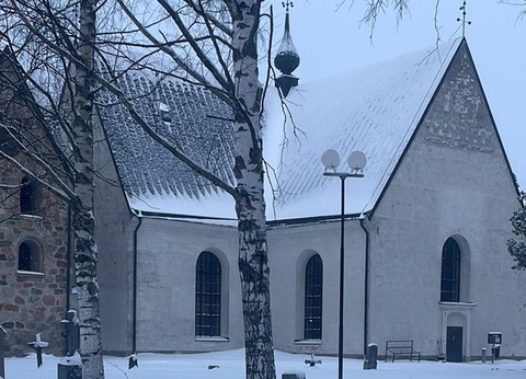 La Magie de Noël au Coeur de la Laponie Suédoise - 14
