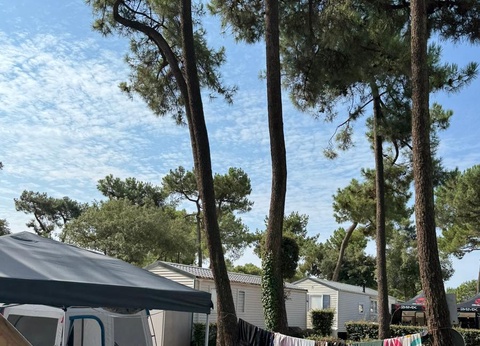 Camping Les Genêts, 5* - 85