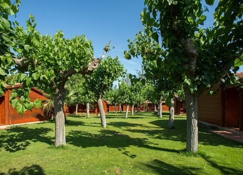 Camping La Llosa - 3