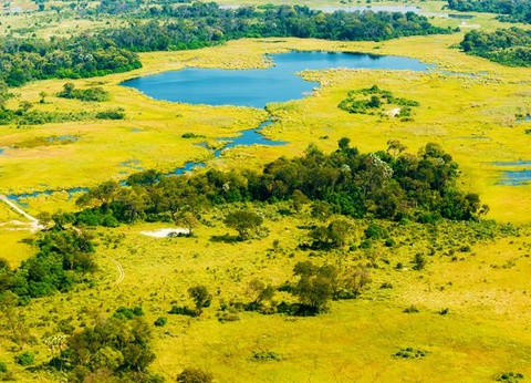 Immersion au Botswana 11J/8N - 2025 - 7