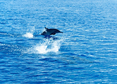 Hôtel Framissima Evasion Canareef Resort 4* - 30