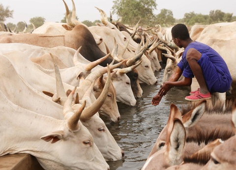 Combiné croisière et hôtel À Bord du Bou El Mogdad, au coeur du Sénégal authentique - 7