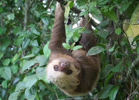 Road Trip Nature & Farniente au Costa Rica - 7