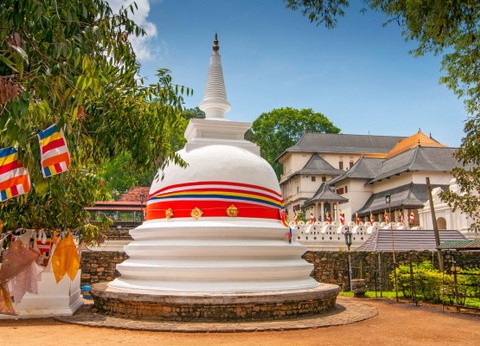 Combiné circuit et hôtel Club Jumbo Amethyst 4* - 5