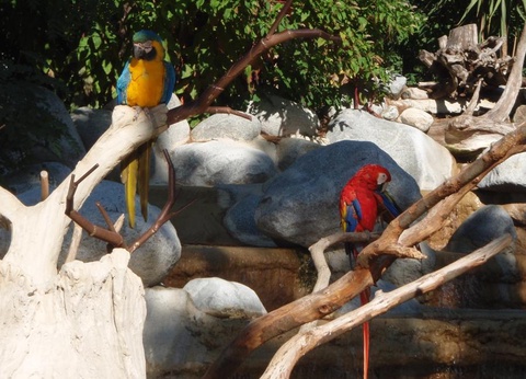 Camping Au Pigeonnier, 4* - 69