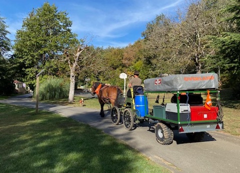 Camping Moulin de David 4* - 97