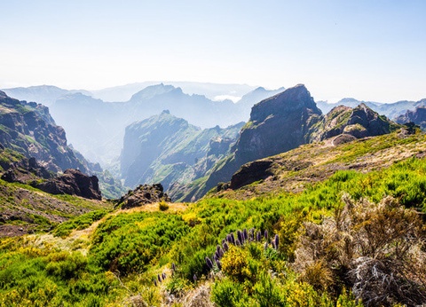 Autotour Madère en Liberté 3* - 16