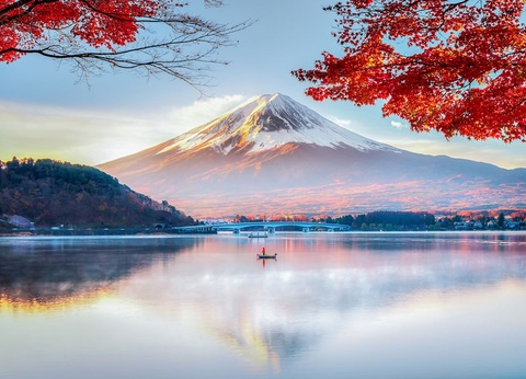 Circuit évènement : Hanami, le réveil des cerisiers - 4