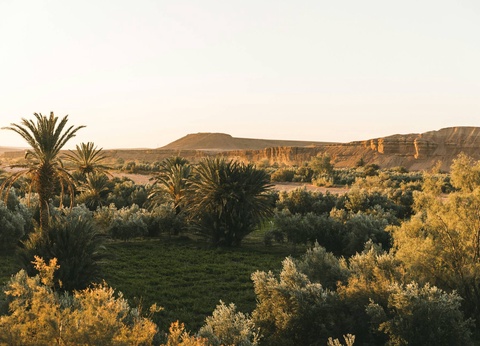 Circuit Au fil des oasis et des dunes : voyage au Maroc ancestral - 11