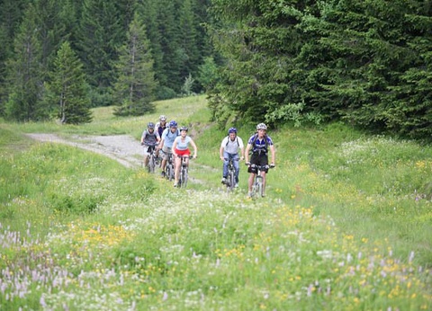 Hôtel Club Le Crêt 3* - 17