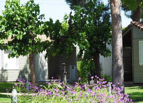 Camping Stel - Roda de Bara, 4* - 16