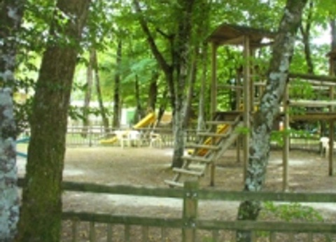 Camping Le Saulou, 3* - 15