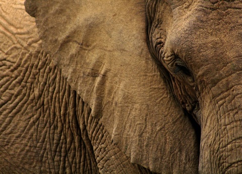 Circuit Légendes du Cap et de la savane **** - 2