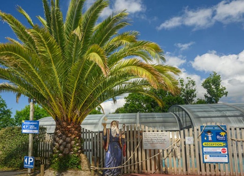 Flower Camping le Kergariou, 3* - 104