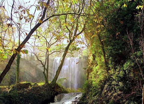 Camping Lago Resort - 22