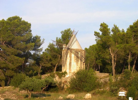 Camping Les Micocouliers 3* - 28