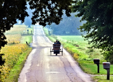 Circuit Beautés du Nord-Est Américain - 21