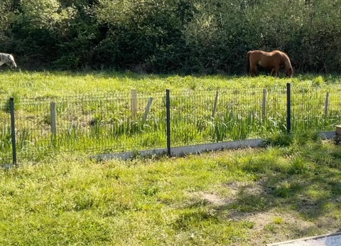 Camping Ecolodges Domaine de la Forêt, 3* - 14