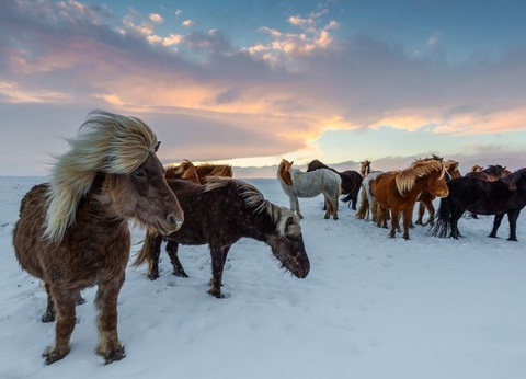 Circuit Multi Activité en Islande - 6