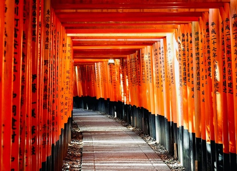 Aventure Japon : Circuit Individuel avec Universal & Warner Studios - 8