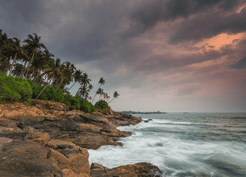 Circuit Le Royaume des Eléphants et plage en privatif - 28