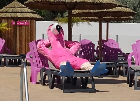 Camping Flamants Roses 4* - 28