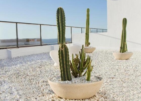 Hôtel Alegria Plaza Paris 4*- Lloret Del Mar - 16