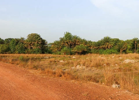 Circuit Sud Sénégal - 4