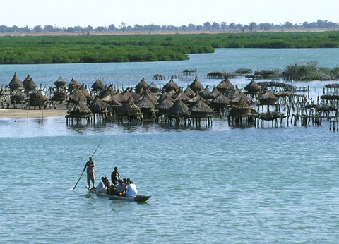 Circuit Beautés du Sénégal et balade avec les lions de Fathala en privatif - 7