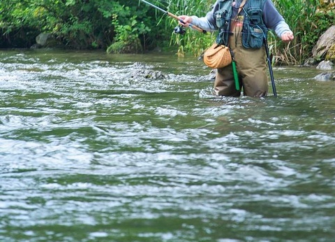 Camping Le Capelan, 4* - 29