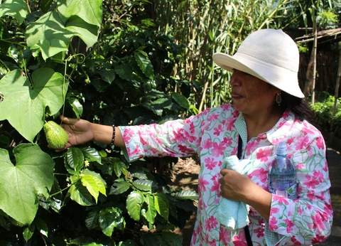 Circuit Terres métisses ancestrales - 9