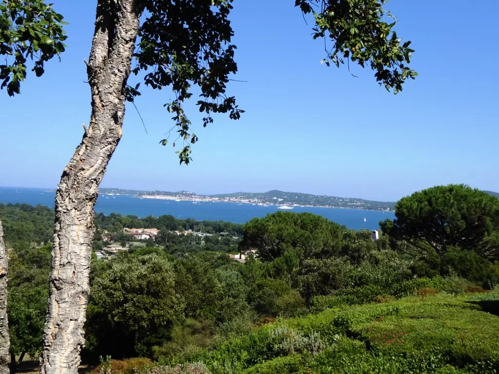 Résidence Maeva Particuliers Village les Restanques du Golfe de St Tropez - 277