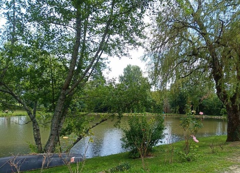 Camping les Etangs du Plessac 4* - 39