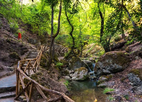 Circuit en Etoile depuis l'hôtel Virginia 4* - 4