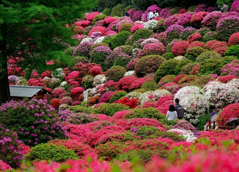 Combiné Tokyo Kyoto en 3* ou 4* - 11