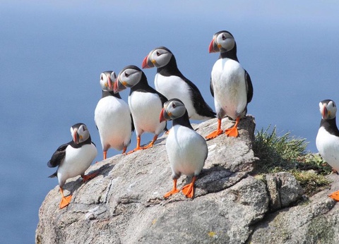 Camping West, 3* - 65