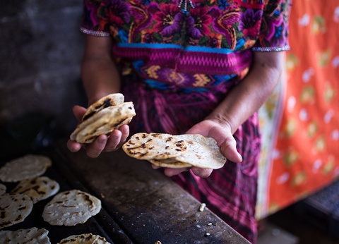 Terre des Mayas - 12