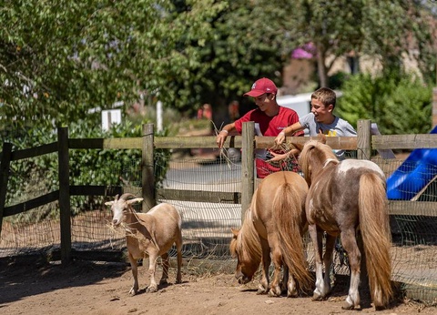 Camping Bocage du Lac, 4* - 66