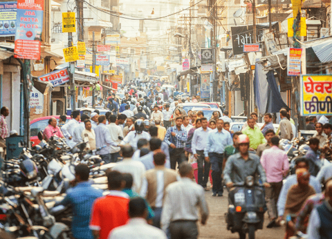 Circuit Sur la route du Taj Mahal au Tigres de Ranthambore - 5