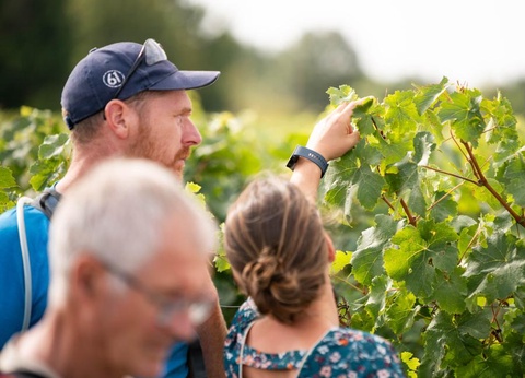 Camping Sites et Paysages - L'Etang de Brissac, 4* - 41