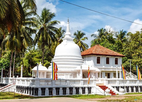 Circuit Trésors de Ceylan et plage des Maldives 4* - 6