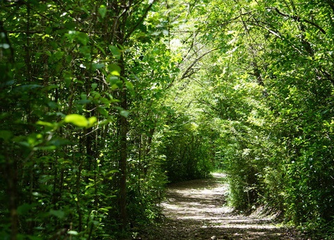 Hôtel Domaine de l'Anse Ramier - 17