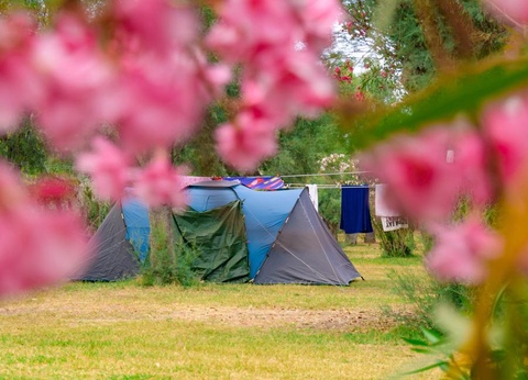 Torre Rinalda Beach Camping & Resort, 4* - 80