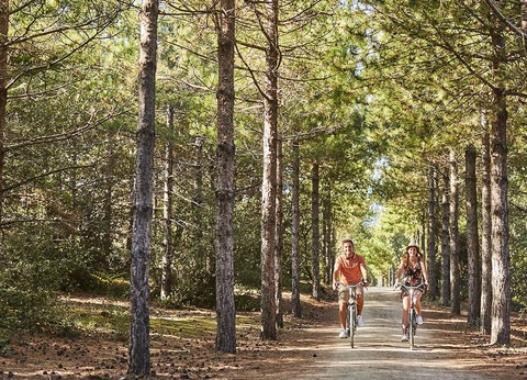 Camping Le Marais Neuf, 3* - 26