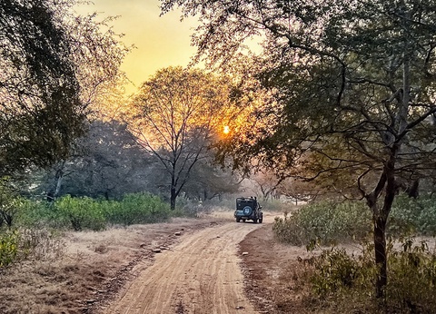 Circuit privé Secrets du Rajasthan option 4 étoiles - 10