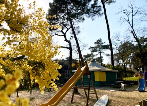 Camping des Pins, 4* - 13