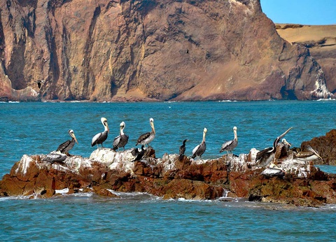 Circuit Pérou andin - 7